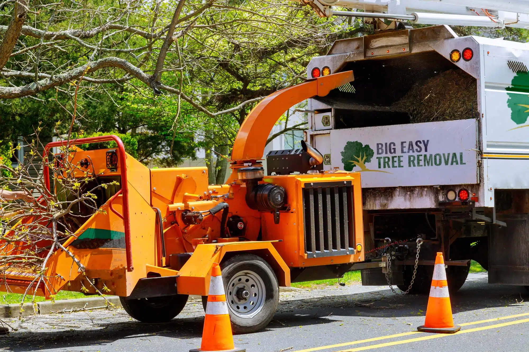 tree trimming services